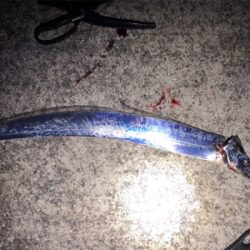 向かい風が寒かった