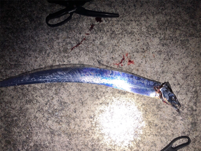 向かい風が寒かった