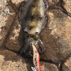 寒いのち暑い。