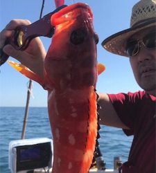 マイボートではじめてのポイントへ