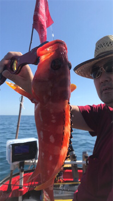 マイボートではじめてのポイントへ