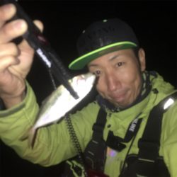 癒しのアジング♪GUNNING-STYLE