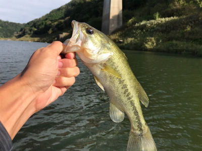 午後からボート釣行