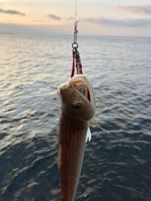 フォール中にドスン………