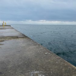 《久々にミニ波止へ》