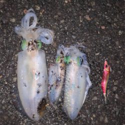 いつものところで