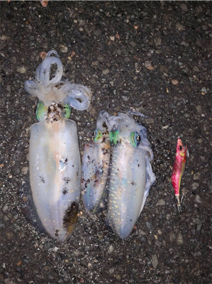 いつものところで