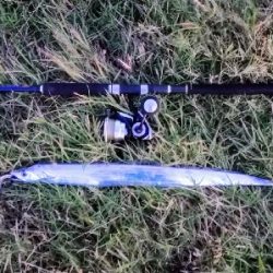 LSJigginger0525〜0610 アジンガー1800〜1935