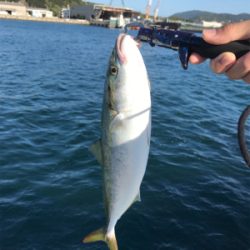 のませにハマってしまった…