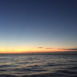 いまいち伸びない