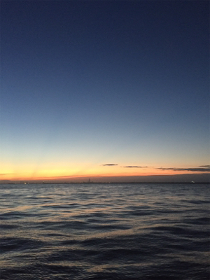 いまいち伸びない