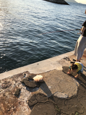 サビキ釣りin二神島