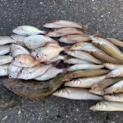 ボートキス釣り