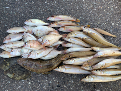 ボートキス釣り