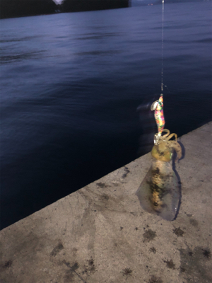 前回のリベンジ