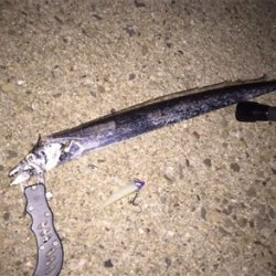 太刀魚 ワインド