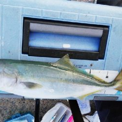 定番ルアーはやっぱり定番だった。