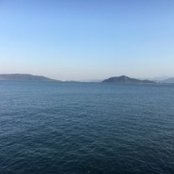 カマスとカナトフグ(白サバフグ)釣りました