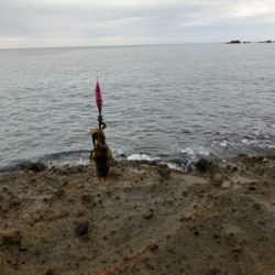 台風前エギング