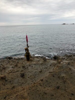 台風前エギング