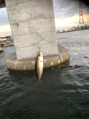 仕事帰りにアジング