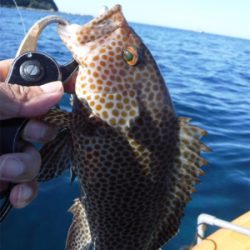 カヤックフィッシング