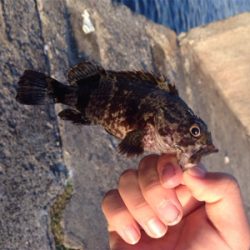 今シーズン一番の爆釣！！