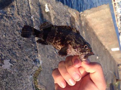 今シーズン一番の爆釣！！