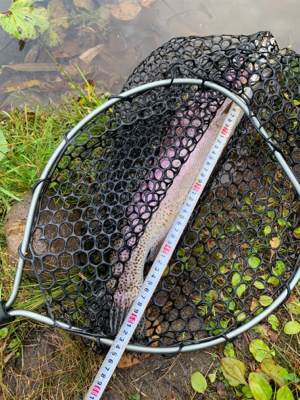 名前の通りビッグファイトです！