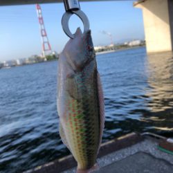 のんびりウキ釣り