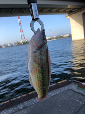 のんびりウキ釣り