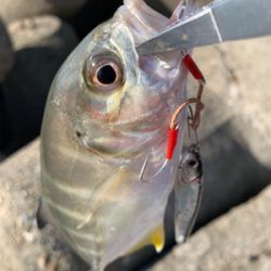 早起きしましたけど！