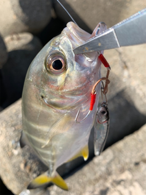 早起きしましたけど！