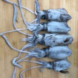 台風前に女神に逢いに♡