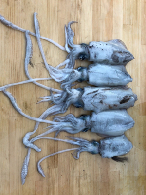 台風前に女神に逢いに♡