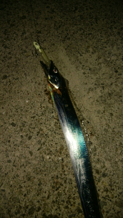 激渋タチウオゲーム