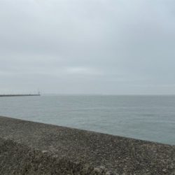 ハマチが釣りたかった