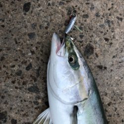 やはり高砂の朝は熱い！