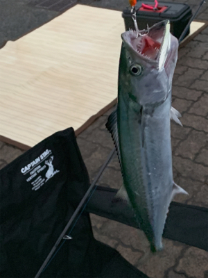 台風後の敦賀新港