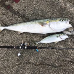 水軒1文字でブリ