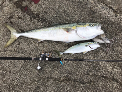 水軒1文字でブリ