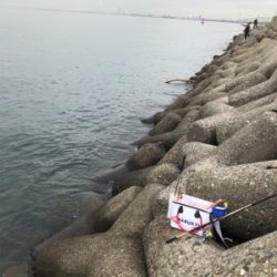 フカセでチヌ＆グレ