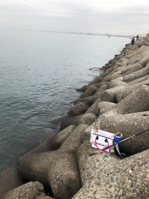 フカセでチヌ＆グレ