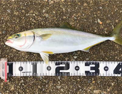 濁りがキツイ中　なんとか1本