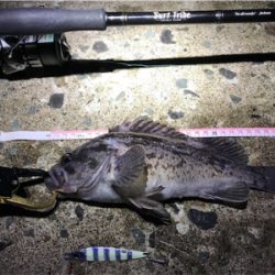 秋ヒラメを狙え！西積丹