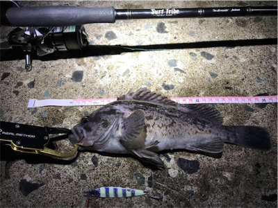 秋ヒラメを狙え！西積丹