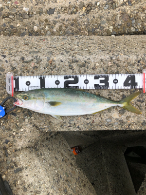 旧日本鋼管ツバスフィーバー