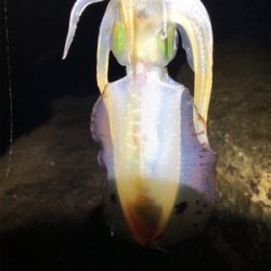 雨上がりの釣行