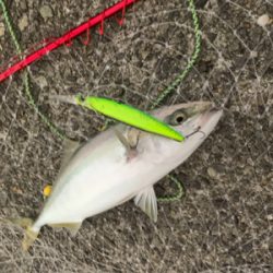 沖堤防でショアジギング