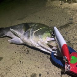 台風明けも入れ食い！！